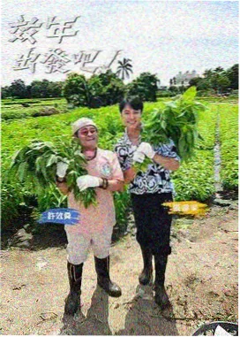 漫画市场趋势分析